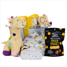 Bundle of Joy Baby Gift