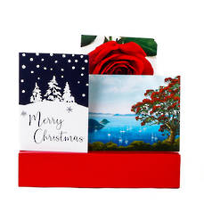 Christmas Greeting Card