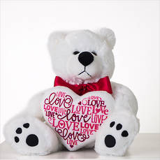 Dashing Dan Bear Gift