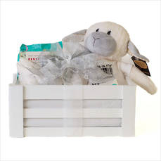 A Kiwi Baby Gift Crate