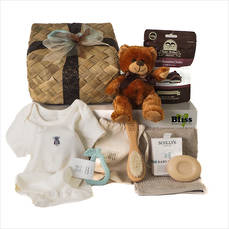 The Little Brown Bear Baby Gift